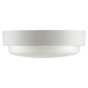 Настенно-потолочный светильник Wolta LCL04-18W-R21-4K-SM