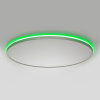 Потолочный светильник Citilux Norma LED RGB CL749600