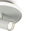 Потолочный светильник Freya Neo FR6040CL-L14W