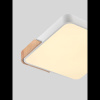 Потолочный светильник Natali Kovaltseva Scandinavian LED LAMPS 81411