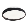 Потолочный светильник Freya Pass FR6222CL-L84B