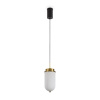 Подвесной светильник Freya Iride FR5627PL-L8BBS