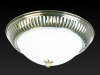 Накладной светильник Toplight Dora TL5040Y-02AB