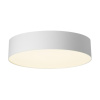 Потолочный светильник Citilux Bart CL755290