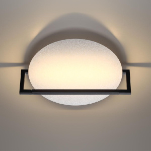 Настенно-потолочный светильник Odeon Light Lunar 7015/15WL