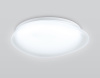Потолочный светильник Ambrella Light Orbital Air FZ1601