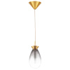 Подвесной светильник Lightstar Colore 805118