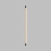 Настенный светильник Denkirs Trixray DK5086-BK