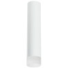 Накладной светильник Lightstar Rullo R49631 (214496+202431)