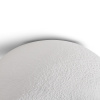 Потолочный светильник Freya Mound FR5428CL-01W