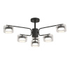 Люстра на штанге Lumion Comfi Natalina 8349/6C