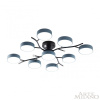 Потолочная люстра Arte Milano Ferrara 256606/8+1 Bk/Gr