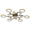 Потолочный светильник F-Promo Hybrid 4686-13C