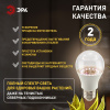 Фитолампа для растений Эра ФИТО A65-20W-PFR-E27-GR Б0068577