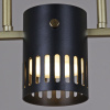 Потолочная люстра Reluce 06675-0.3-05 GD+BK GX53
