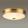 Потолочный светильник Odeon Light 4824/4C
