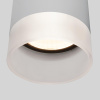 Уличный потолочный светильник Elektrostandard Light LED 4690389177965