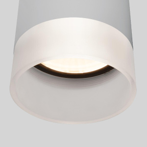 Уличный потолочный светильник Elektrostandard Light LED 4690389177965