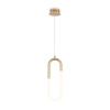 Подвесной светильник Freya Magnet FR6106PL-L13G