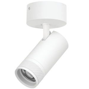 Накладной светильник 20-55G с адаптером Lightstar Canno Pro C4306SO