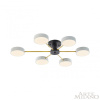 Потолочная люстра Arte Milano Ferrara 252006/6 Bk/Wh