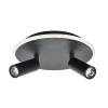 Настенно-потолочный светильник Escada 20046SMA/02LED BK