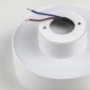 Встраиваемый светильник Lightstar Acuto 215936
