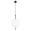 Подвесной светильник Loft IT Venice 10223/D White