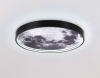 Настенно-потолочный светильник Ambrella Light Wall FW11110