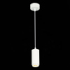 Подвесной светильник ST Luce Zoom ST600.533.10