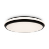 Потолочный светильник Freya Pie FR6086CL-L117B