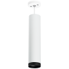 Подвесной светильник Lightstar Rullo RP4963437 (214496+590056+203437)