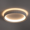 Потолочный светильник Freya Ringle FR6219CL-L80W