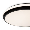 Потолочный светильник Freya Pie FR6086CL-L117B