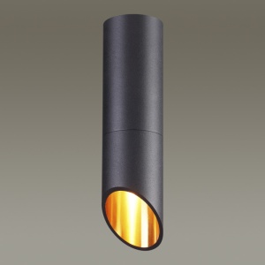 Влагозащищенный светильник Odeon Light 4209/1C