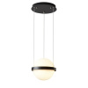 Подвесной светильник DeLight Collection 10228P/1 black