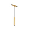 Трековый светильник Denkirs SHINE PRIME SPOT 3000К DK4744-SB
