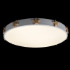 Потолочный светильник Loft IT AXEL 10006/36 White