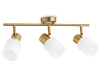 Спот Ambrella Light Traditional TR3972