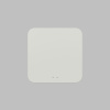 Конвертер WiFi-Zigbee/BLE для умного дома Denkirs Zigbee Control DK7402-WF