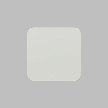 Конвертер WiFi-Zigbee/BLE для умного дома Denkirs Zigbee Control DK7402-WF