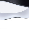 Потолочный светильник Arte Lamp Ankaa A3085PL-48BK