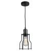 Подвесной светильник Lussole Loft Baldwin GRLSP-9610