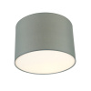 Потолочный светильник LightHall Camerona 45 LH022035