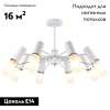 Потолочная люстра F-Promo Viator 2559-8P