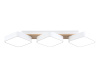 Потолочный светильник Ambrella Light Linetech Comfort FL4877