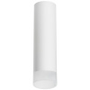Накладной светильник Lightstar Rullo R649681 (216496+202481)