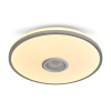 Потолочный светильник Freya Rond FR6226CL-L36W