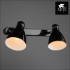 Спот Arte Lamp 48 A5049AP-2BK