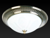 Накладной светильник Toplight Fae TL5060Y-02AB